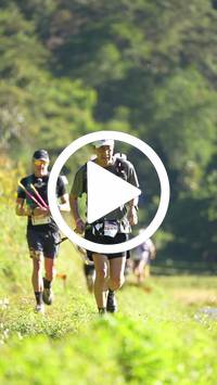 BIB:  <button type="button" onclick="openModal(26575040)" class="btn btn-primary btn-sm float-right" data-toggle="modal" data-target=".modal-high-quality">
                <i class="fa fa-download"></i> Download
                </button>